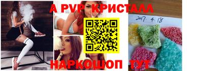 гашик Будённовск