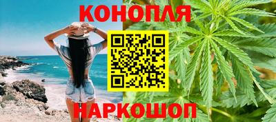 гашик Будённовск