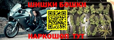 гашик Будённовск