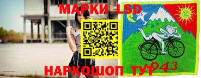 гашик Будённовск