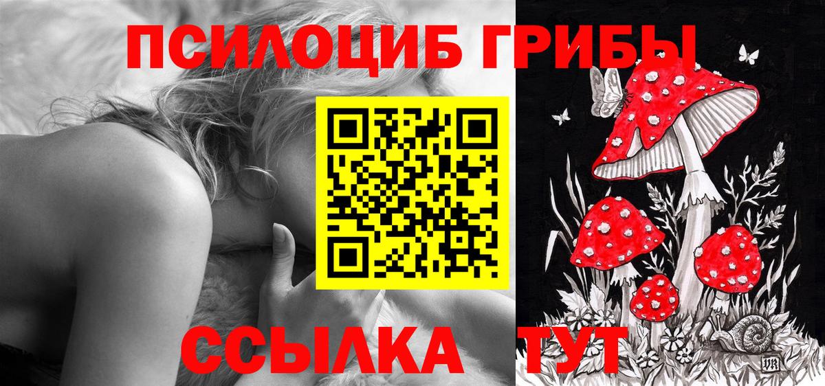Коммунар  Псилоцибиновые грибы Psilocybe  Вход с VPN 