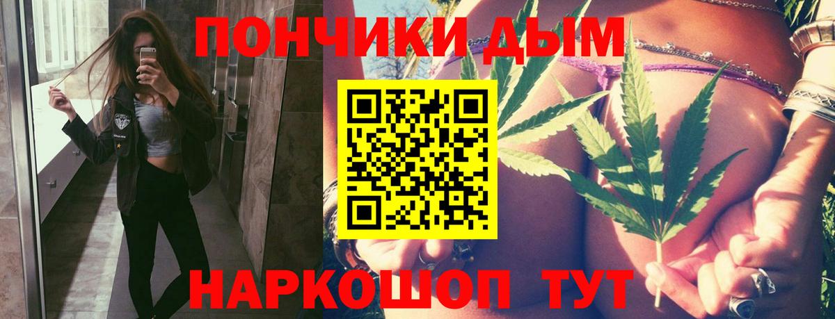 Бошки Шишки гибрид Коммунар